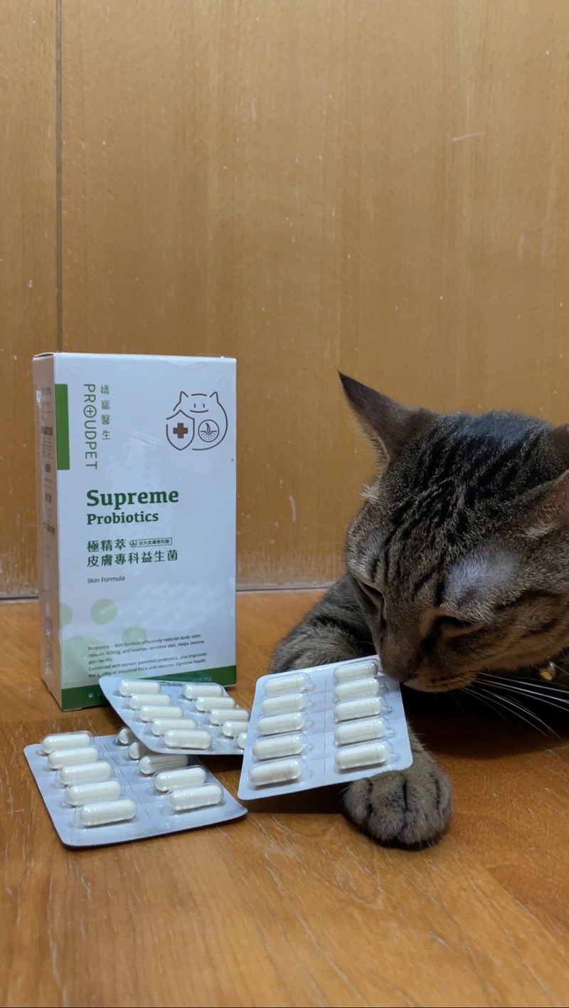 試用